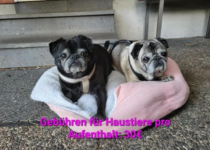 Doppelhaushaelfte Naturglueck * Becheln